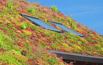 Shorne West living roof systems